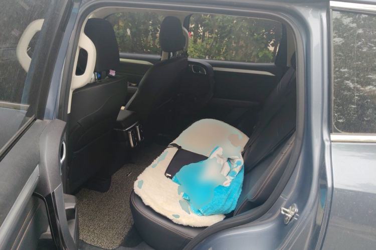 Used Haval DARGO 2021 1.5T DCT Two-Wheel Drive Border Collie - Wangcai Edition Left Rear Seat