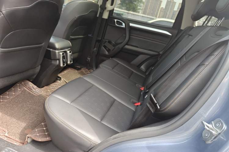 Used Haval DARGO 2021 1.5T DCT Two-Wheel Drive Border Collie Edition Left Rear Seat