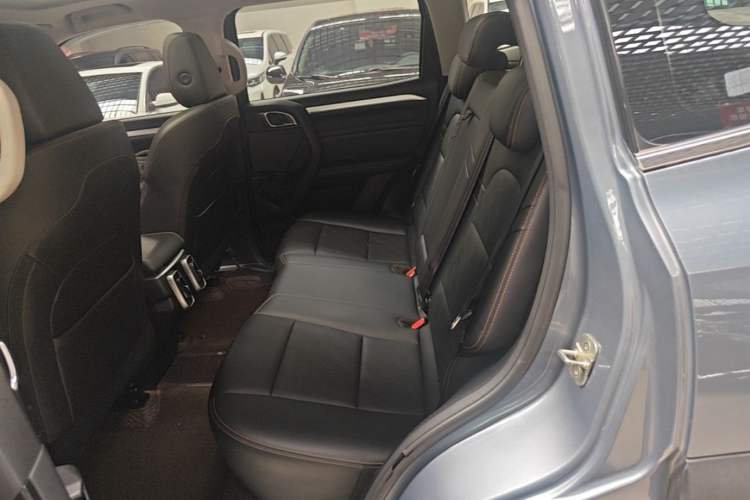 Used Haval DARGO 2021 1.5T DCT Two-Wheel Drive "Mǎquǎn" Edition Left Rear Seat