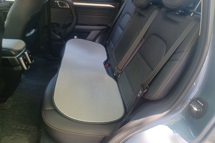 Used Haval DARGO 2021 2.0T DCT 4x4 Chinese Rural Dog Edition Left Rear Seat