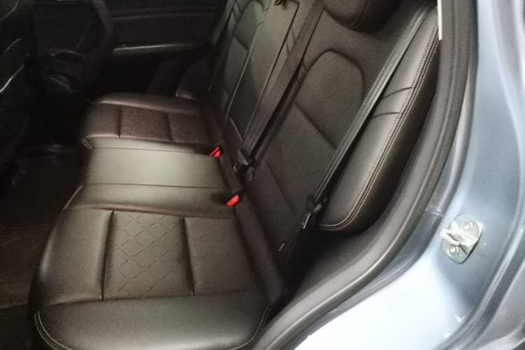 Used Haval DARGO 2021 1.5T DCT Two-Wheel Drive Labrador Edition Left Rear Seat