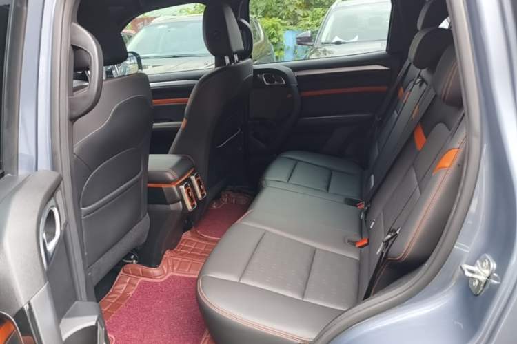 Used Haval DARGO 2021 2.0T DCT Two-Wheel Drive Chinese Mastiff Edition Left Rear Seat