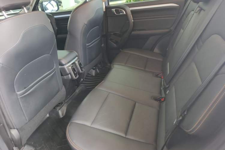 Used Haval DARGO 2021 1.5T DCT Two-Wheel Drive Border Collie - Wangcai Edition Left Rear Seat