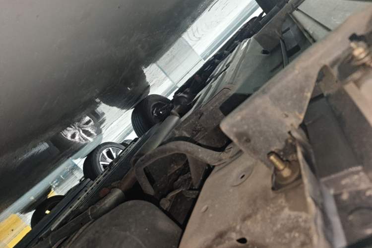 Used Haval DARGO 2021 1.5T DCT Two-Wheel Drive Border Collie Edition Left Side Sill