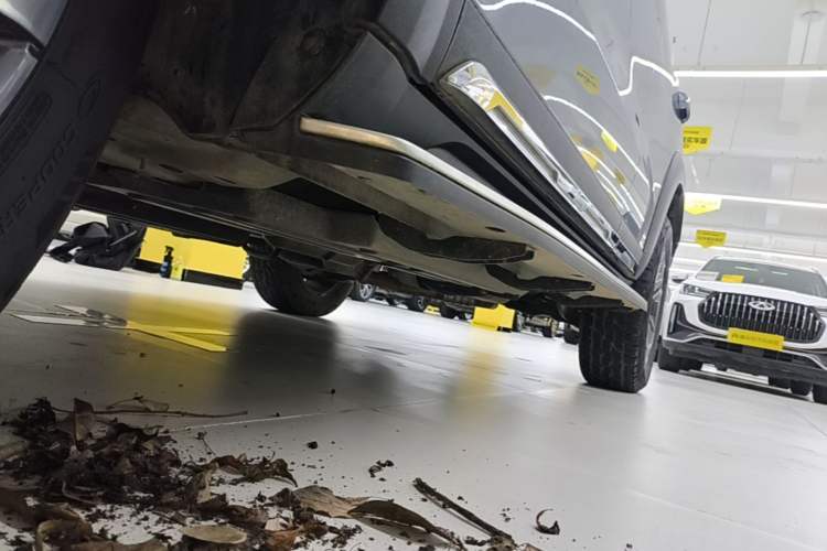 Used Haval DARGO 2021 Revised Version 2.0T DCT Four-Wheel Drive "Hao Tian Que" Edition Left Side Sill