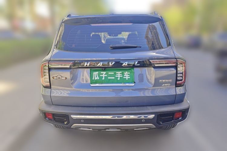 Used Haval DARGO 2021 2.0T DCT 4x4 Chinese Rural Dog Edition Rear