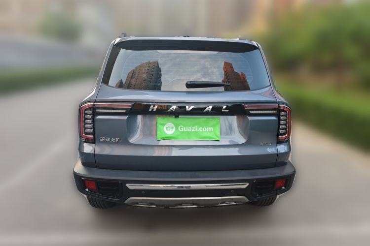 Used Haval DARGO 2021 2.0T DCT 4x4 Chinese Rural Dog Edition Rear