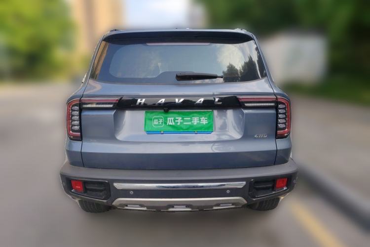 Used Haval DARGO 2021 2.0T DCT 4x4 Chinese Rural Dog Edition Rear