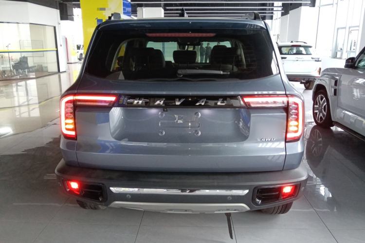 Used Haval DARGO 2021 2.0T DCT 4x4 Chinese Rural Dog Edition Rear