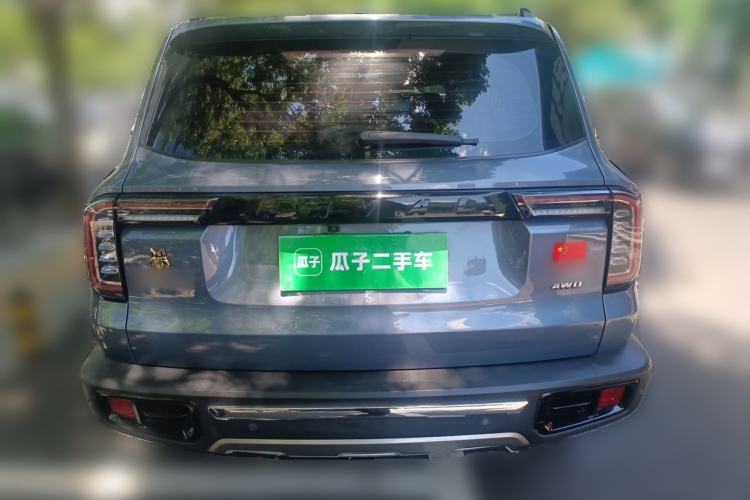 Used Haval DARGO 2021 2.0T DCT 4x4 Chinese Rural Dog Edition Rear