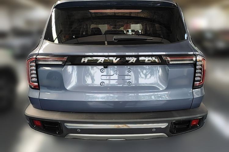 Used Haval DARGO 2021 2.0T DCT Two-Wheel Drive Chinese Mastiff Edition Rear