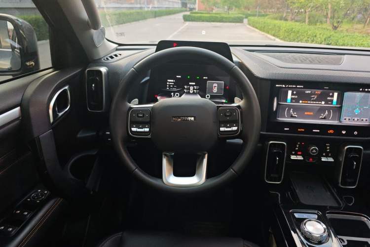 Used Haval DARGO 2021 2.0T DCT 4x4 Chinese Rural Dog Edition Steering Wheel