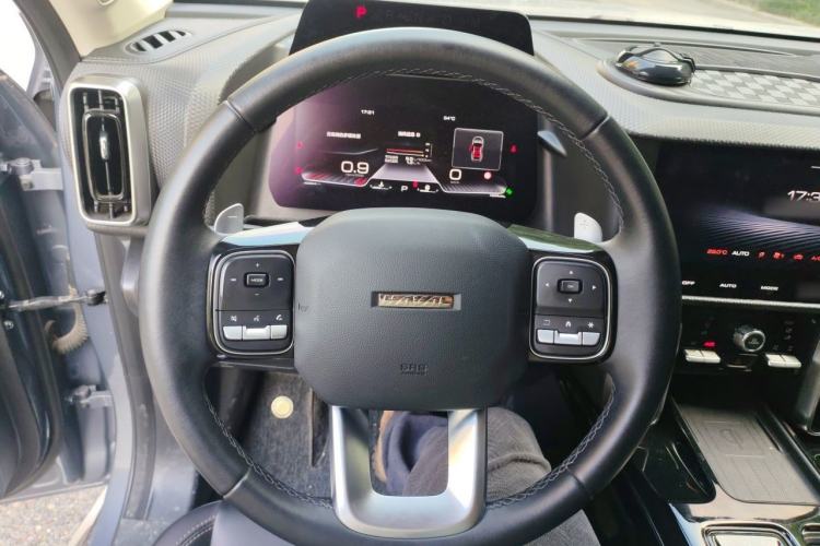 Used Haval DARGO 2021 2.0T DCT 4x4 Chinese Rural Dog Edition Steering Wheel
