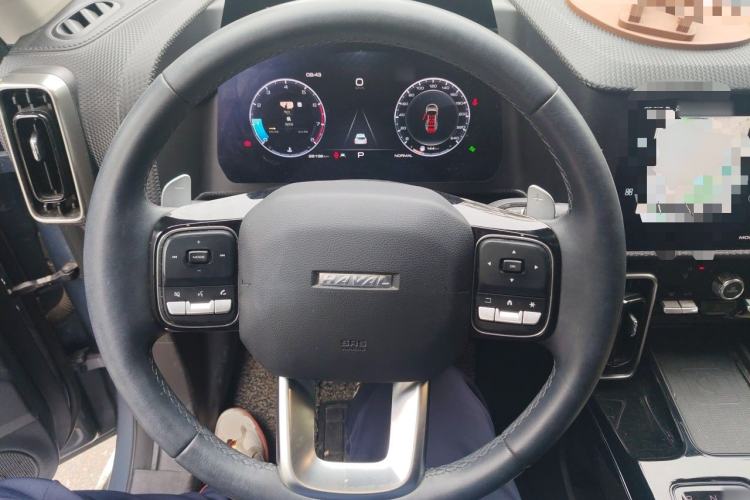 Used Haval DARGO 2021 1.5T DCT Two-Wheel Drive Border Collie - Wangcai Edition Steering Wheel