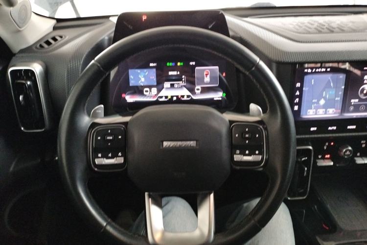 Used Haval DARGO 2021 1.5T DCT Two-Wheel Drive Border Collie Edition Steering Wheel