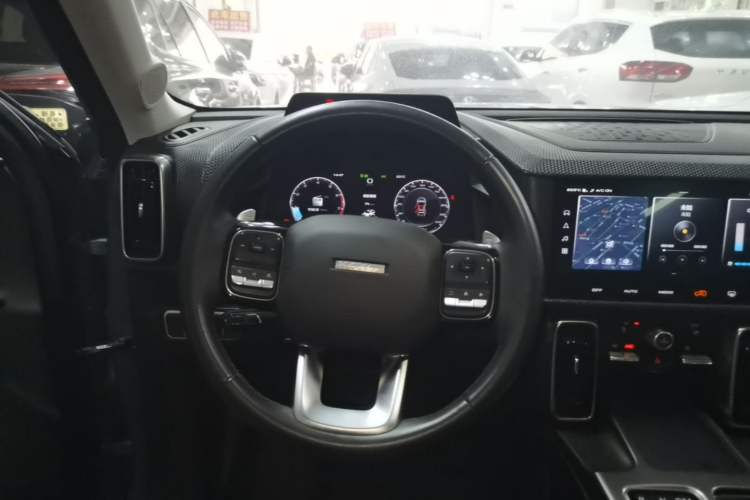 Used Haval DARGO 2021 1.5T DCT Two-Wheel Drive Labrador Edition Steering Wheel