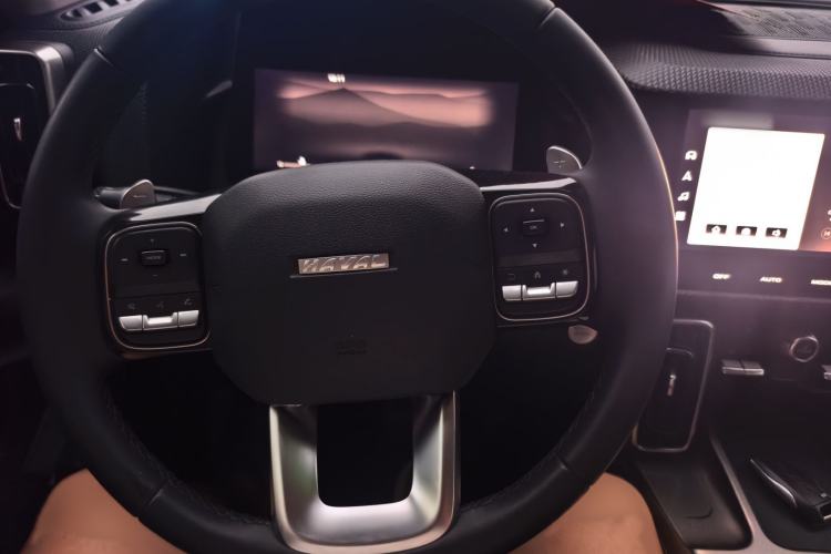 Used Haval DARGO 2021 1.5T DCT Two-Wheel Drive Labrador Edition Steering Wheel