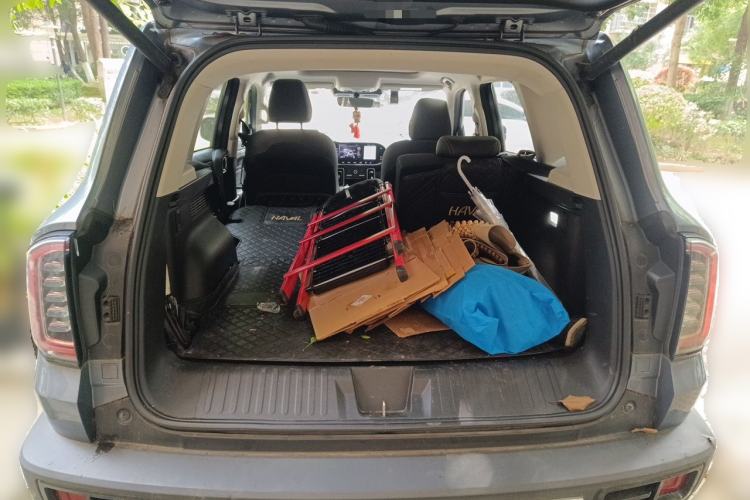 Used Haval DARGO 2021 2.0T DCT 4x4 Chinese Rural Dog Edition Trunk