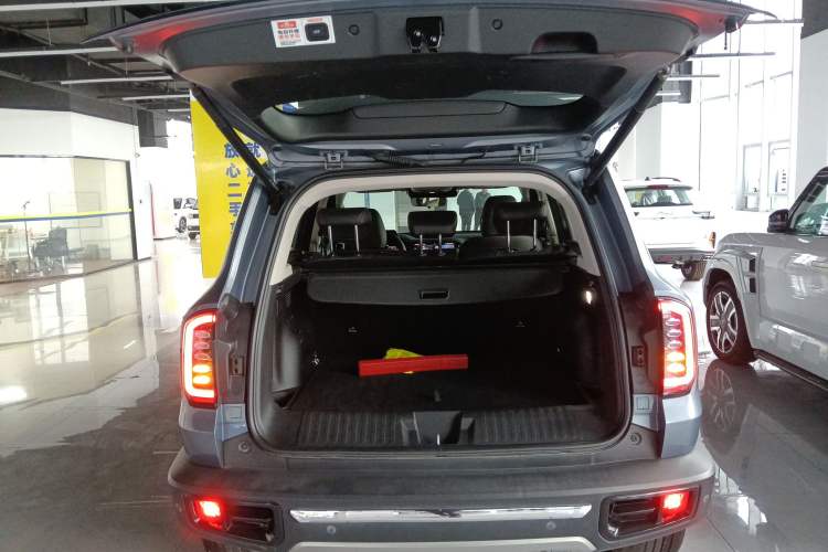 Used Haval DARGO 2021 2.0T DCT 4x4 Chinese Rural Dog Edition Trunk