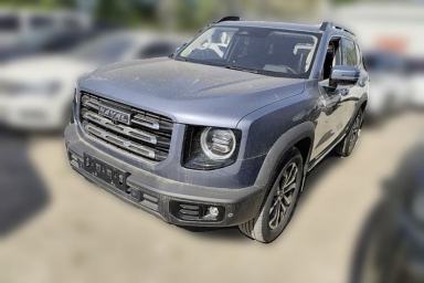 Used Haval DARGO 2021 2.0T DCT Two-Wheel Drive Chinese Mastiff Edition