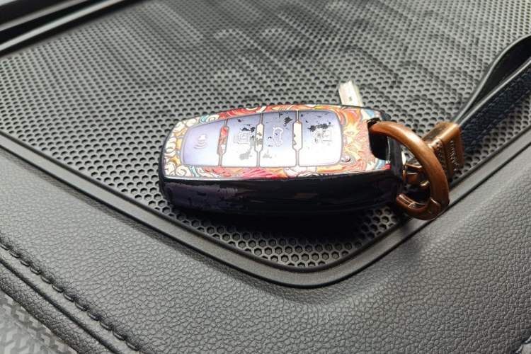 Used Haval DARGO 2021 2.0T DCT 4x4 Chinese Rural Dog Edition Vehicle Key