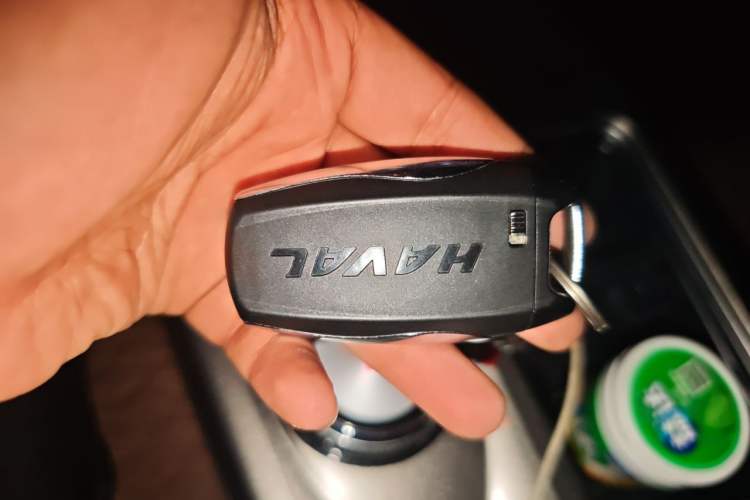 Used Haval DARGO 2021 1.5T DCT Two-Wheel Drive Labrador Edition Vehicle Key