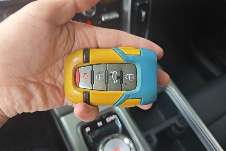 Used Haval DARGO 2021 1.5T DCT Two-Wheel Drive Labrador Edition Vehicle Key