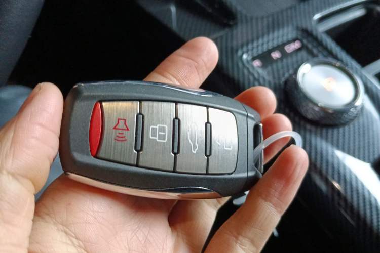 Used Haval DARGO 2021 2.0T DCT 4x4 Chinese Rural Dog Edition Vehicle Key