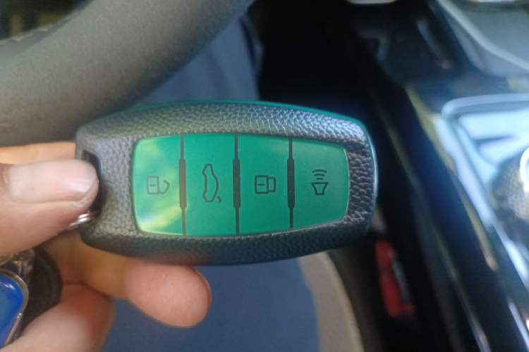 Used Haval DARGO 2021 2.0T DCT 4x4 Chinese Rural Dog Edition Vehicle Key