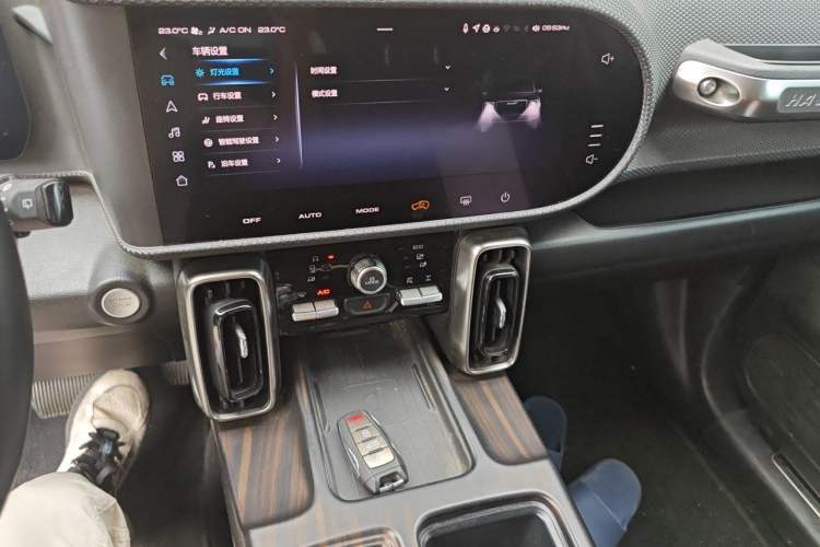 Used Haval DARGO 2021 2.0T DCT All-Wheel-Drive "Hao Tian Quan" Edition Audio And AC Panel