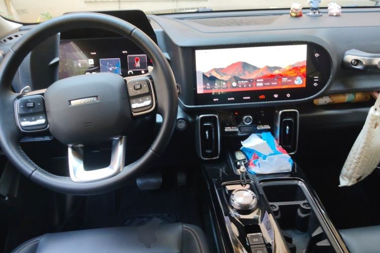 Used Haval DARGO 2021 1.5T DCT Two-Wheel Drive Border Collie - Wangcai Edition Center Console