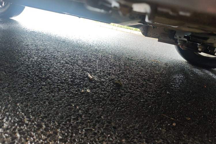 Used Haval DARGO 2021 1.5T DCT Two-Wheel Drive Border Collie - Wangcai Edition Chassis Front Right