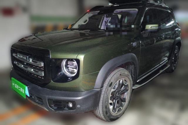 Used Haval DARGO 2021 2.0T DCT 4x4 Chinese Rural Dog Edition