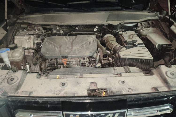 Used Haval DARGO 2021 2.0T DCT 4x4 Chinese Rural Dog Edition Engine Bay