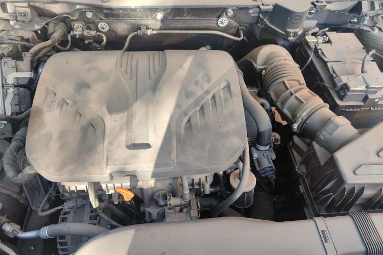 Used Haval DARGO 2021 2.0T DCT 4x4 Chinese Rural Dog Edition Engine Bay