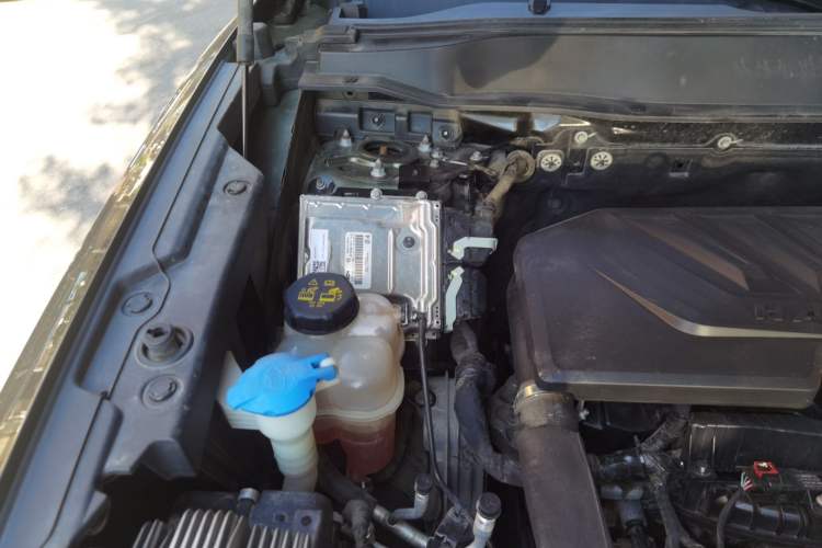 Used Haval DARGO 2021 1.5T DCT Two-Wheel Drive Border Collie Edition Engine Bay Right