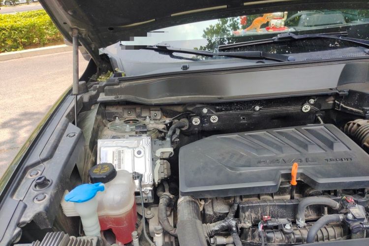 Used Haval DARGO 2021 1.5T DCT Two-Wheel Drive Border Collie Edition Engine Bay Right