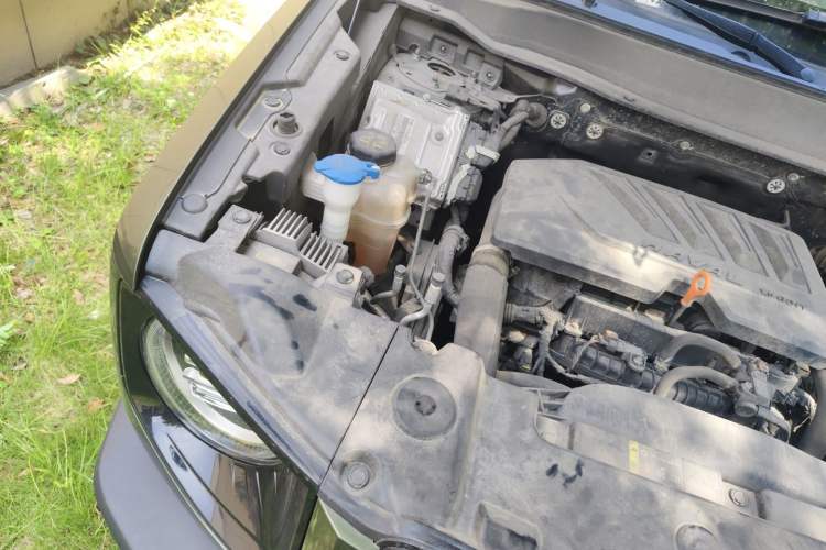 Used Haval DARGO 2021 1.5T DCT Two-Wheel Drive Border Collie - Wangcai Edition Engine Bay Right