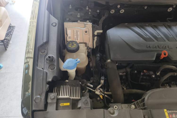 Used Haval DARGO 2021 1.5T DCT Two-Wheel Drive Border Collie - Wangcai Edition Engine Bay Right