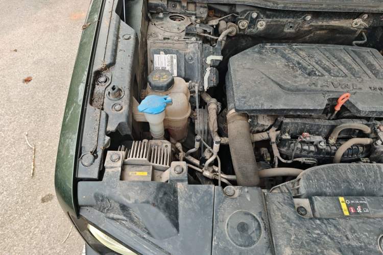 Used Haval DARGO 2021 1.5T DCT Two-Wheel Drive Border Collie Edition Engine Bay Right