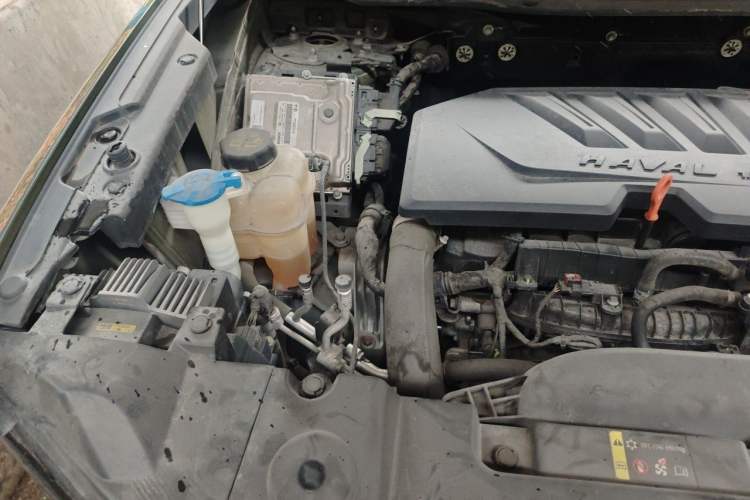 Used Haval DARGO 2021 1.5T DCT Two-Wheel Drive Border Collie - Wangcai Edition Engine Bay Right