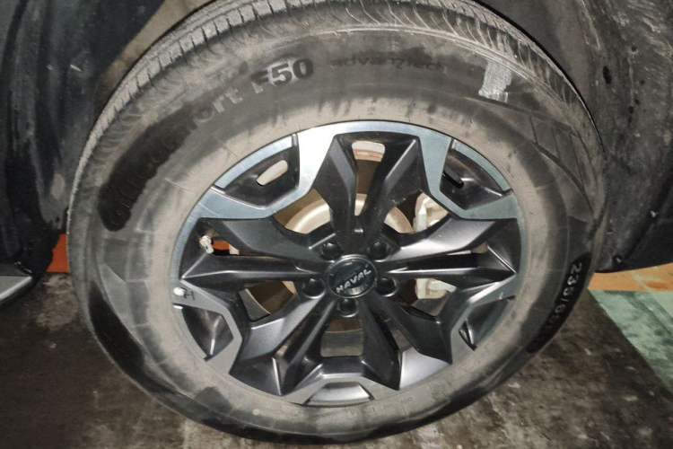 Used Haval DARGO 2021 2.0T DCT 4x4 Chinese Rural Dog Edition Exterior 1
