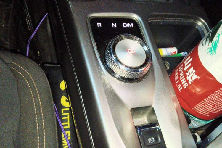 Used Haval DARGO 2021 1.5T DCT Two-Wheel Drive Husky Edition Gear Lever