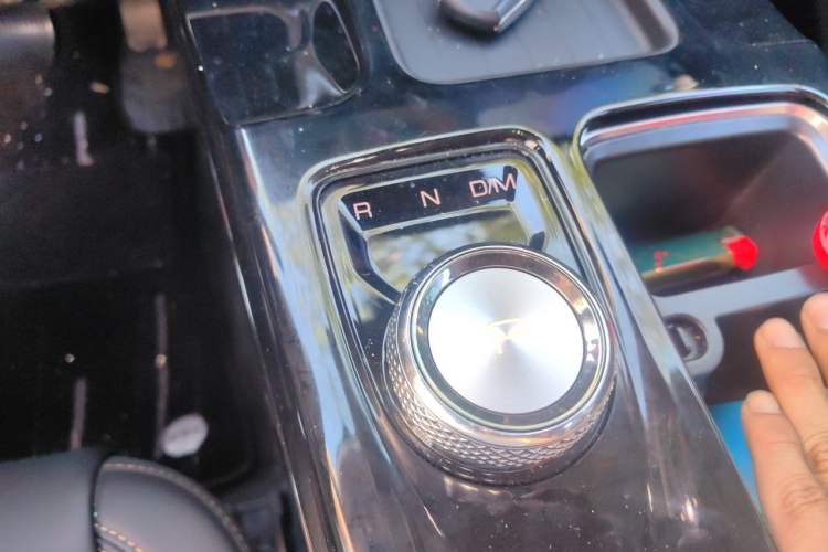 Used Haval DARGO 2021 2.0T DCT 4x4 Chinese Rural Dog Edition Gear Lever