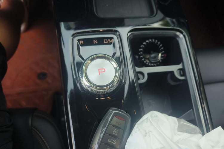 Used Haval DARGO 2021 Revised Version 2.0T DCT Four-Wheel Drive "Hao Tian Que" Edition Gear Lever