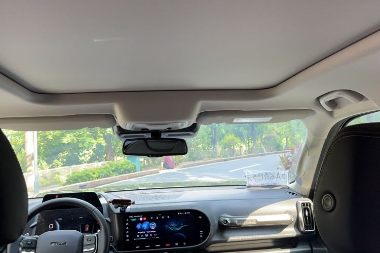 Used Haval DARGO 2021 2.0T DCT All-Wheel-Drive "Hao Tian Quan" Edition Headliner
