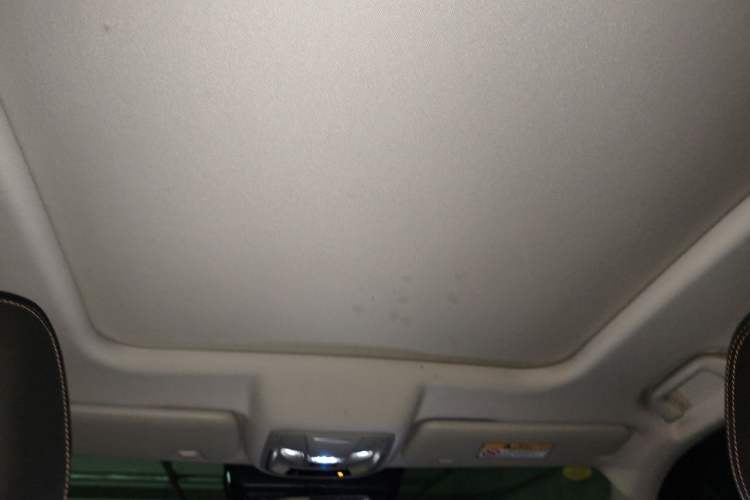 Used Haval DARGO 2021 2.0T DCT 4x4 Chinese Rural Dog Edition Headliner