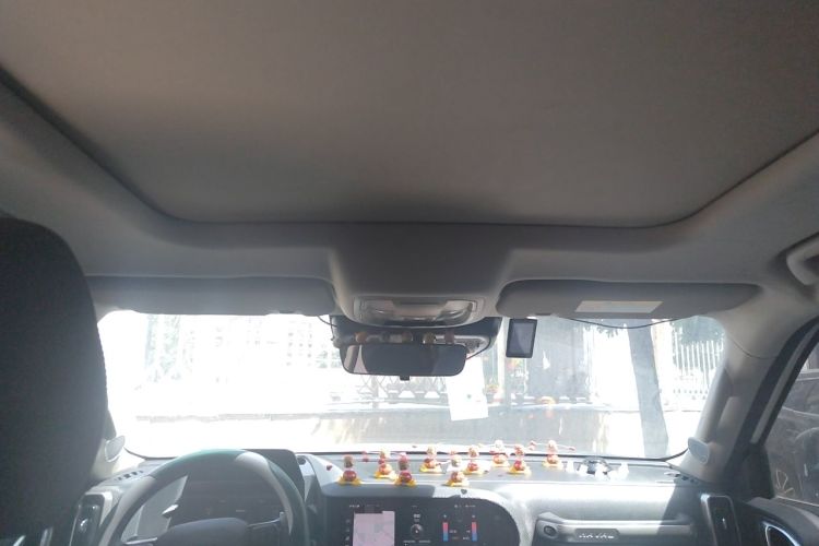 Used Haval DARGO 2021 1.5T DCT Two-Wheel Drive Border Collie Edition Headliner