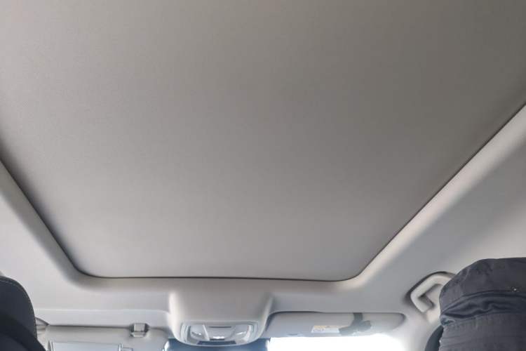 Used Haval DARGO 2021 1.5T DCT Two-Wheel Drive Border Collie - Wangcai Edition Headliner