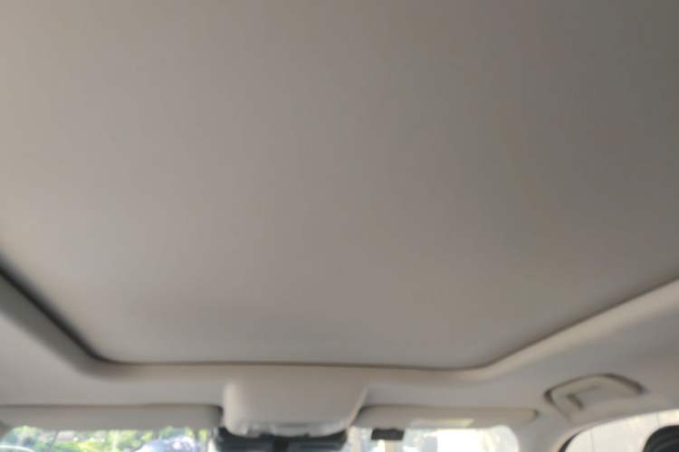 Used Haval DARGO 2021 1.5T DCT Two-Wheel Drive Border Collie - Wangcai Edition Headliner